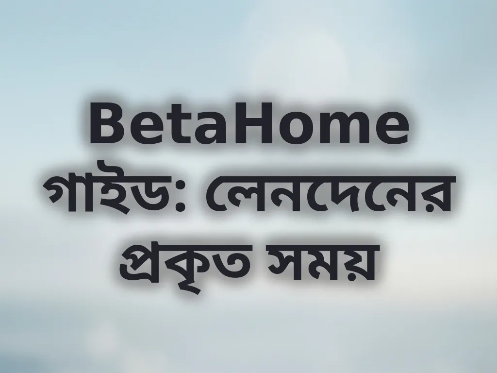 লেনদেনের সময় গাইড